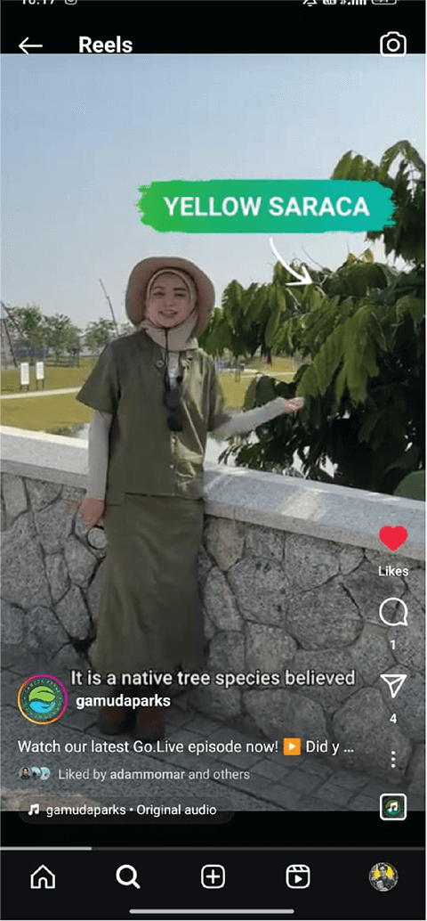 Instagram